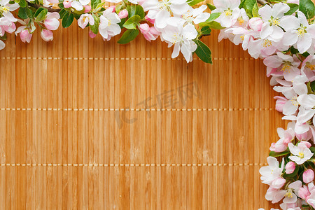 竹背景上的樱花春天花朵框架。