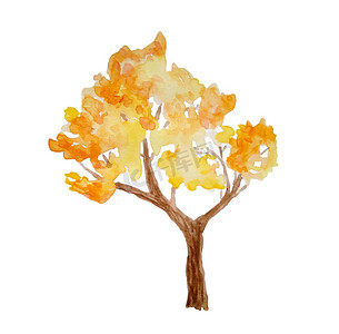 森林木材林地公园秋季树的水彩手绘插图。