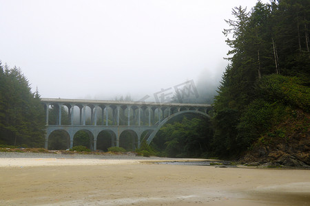 太平洋沿岸雾中的老桥