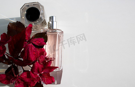 皇室摄影照片_紫色、红色盛开的苹果花品种海棠皇室摆和一瓶香水。