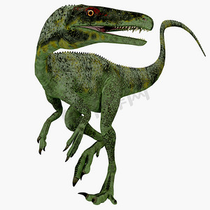 侏罗纪恐龙