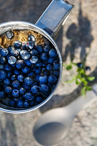 树林里的石头上放着一个装满蓝莓和燕麦片的金属杯