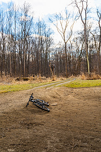 公路旁边的树摄影照片_躺在大森林和小路旁边的地上的黑色自行车
