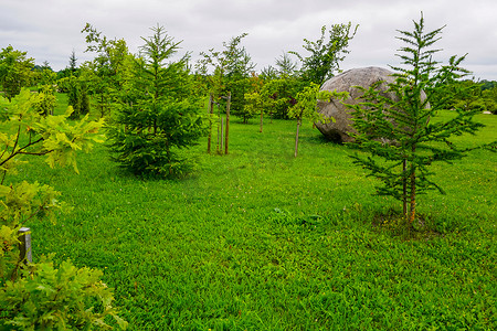 拉脱维亚科克内塞公园命运花园的花园。
