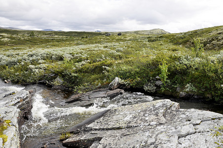 jotunheimen摄影照片_尤通黑门 (Jotunheimen) 的山间溪流