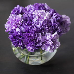 圆形玻璃花瓶中的淡紫色康乃馨新娘花束 圆形玻璃花瓶中的淡紫色康乃馨新娘花束作为餐桌装饰