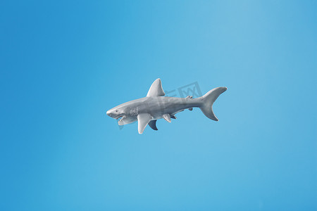 蓝色背景上的鲨鱼玩具，有可用空间。