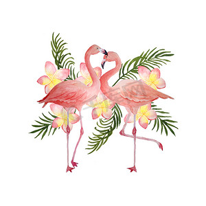 两只粉红色的火烈鸟，浪漫的情侣爱上棕榈叶鸡蛋花鸡蛋花。