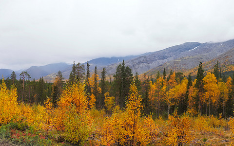半岛背景摄影照片_多云天气背景山峰的秋季多彩苔原。