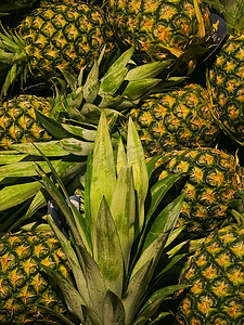 菠萝作为健康有机食品背景、农贸市场新鲜水果、饮食和农业