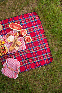 草地上野餐毯设置的顶视图