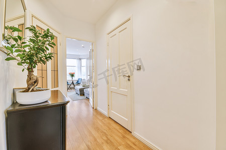 现代公寓门口有白色墙壁和镶木地板的