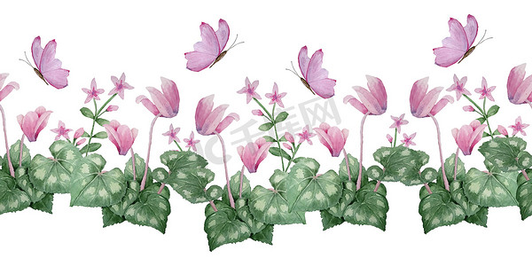 手绘花卉边框摄影照片_水彩手绘无缝水平边框插图粉红色紫罗兰紫色仙客来野花蝴蝶。