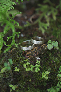 金色婚礼装饰摄影照片_森林里绿色青苔上的金色结婚戒指。