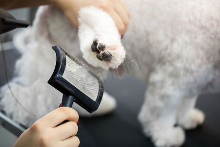给动物梳理毛发、给狗梳理毛发、烘干和造型、梳理羊毛。