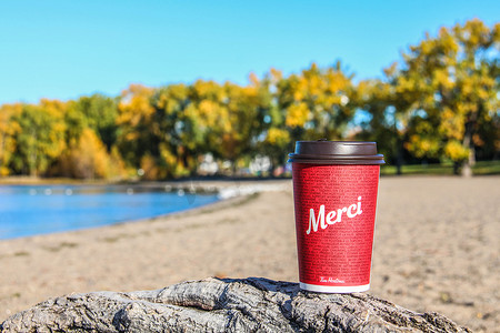 霍顿摄影照片_红纸蒂姆霍顿杯咖啡，自然早晨背景上写着“Merci”字样