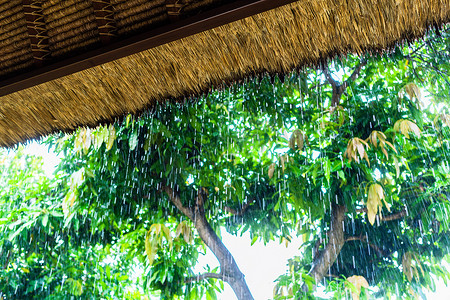 从避难所看到稻草屋顶上的热带雨