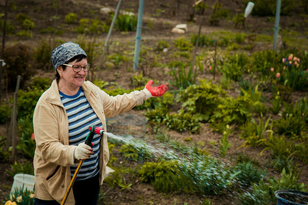 园艺和人的概念 — 快乐的老年妇女在夏天用花园软管浇灌草坪