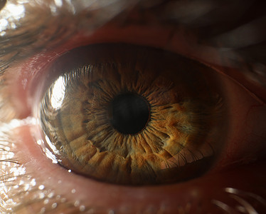 人眼、女性或男性视觉器官的极端宏观镜头、绿色眼睛颜色的阴影