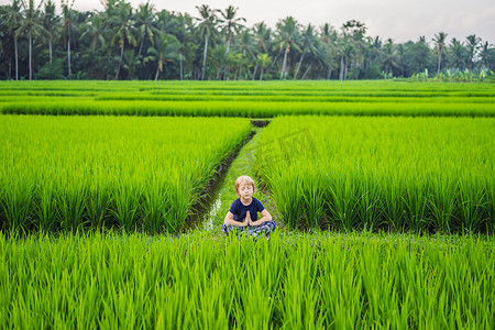 稻田摄影照片_小男孩在户外的稻田里练习瑜伽。