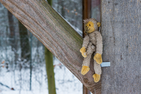 动物的拥抱摄影照片_冬天，毛绒猴子在木梁之间，这是适合儿童和成人的可爱的拥抱玩具