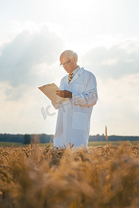 农业科学家跟踪新品种谷物的数据