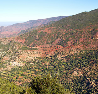 摩洛哥阿特拉斯非洲地树和诺博的达德斯山谷