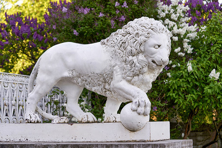 丁香花背景摄影照片_圣彼得堡埃拉金宫盛开的丁香花背景下的狮子