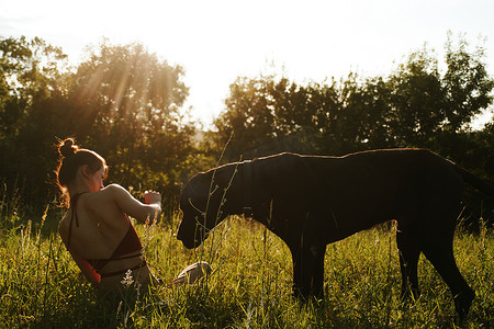 宠物家庭摄影照片_夏天，快乐的女人在大自然的田野里和狗玩耍
