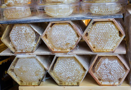 蜂巢格背景摄影照片_密封的蜂巢架中的新鲜蜂蜜