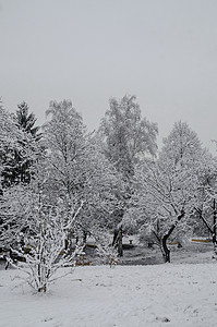 班基亚冬季公园雪树和儿童角落的壮丽景色