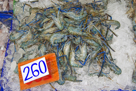 许多活淡水虾在冰中标价（泰铢）