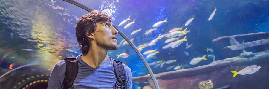 好奇的游客在水族馆隧道中饶有兴趣地观看鲨鱼横幅，长格式