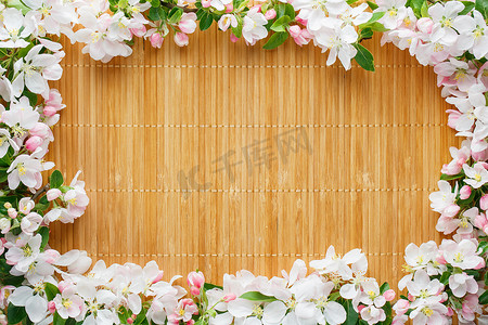 春天竹子背景摄影照片_竹背景上的樱花春天花朵框架。