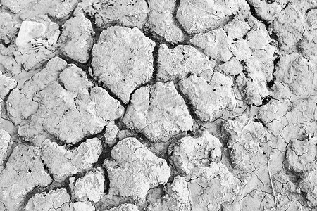 干旱导致土壤干燥