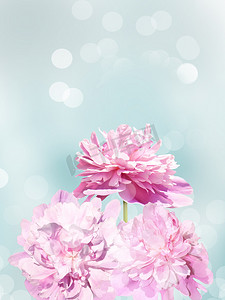 浅绿色背景上的粉红色牡丹花束。