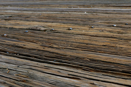 海上垃圾摄影照片_港口海上木地板的顶视图。
