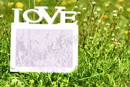 粉色文本框摄影照片_绿草上淡粉色的爱框，白色和黄色的花朵