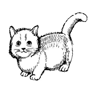 可爱小猫手绘摄影照片_小猫手绘