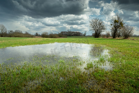 天空雨水摄影照片_绿色草地、树木和多云天空上的雨水