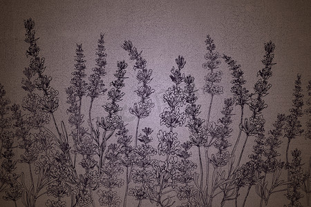 美术天然混凝土纹理与手绘薰衣草花覆盖。