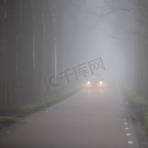 乡背景摄影照片_荷兰乡村道路上的汽车在雾中的行树之间