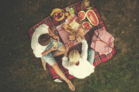 情侣享受野餐时间的顶视图