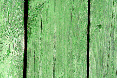 环线线稿摄影照片_天然绿色木材纹理，带有一系列结和环线