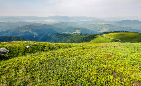 观影摄影照片_高山草甸的草地地毯