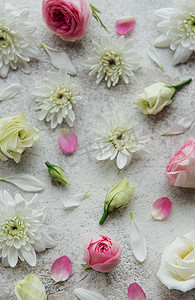 具体背景上的粉色和白色花朵。