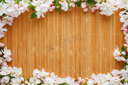 春天竹子背景摄影照片_竹背景上的樱花春天花朵框架。