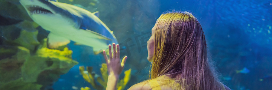 年轻女子在水族馆隧道中触摸黄貂鱼横幅，长格式