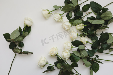 由白玫瑰制成的优雅花框和白色背景上的文本位置