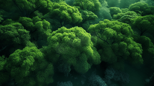 扁平风回家场景摄影照片_绿树自然风景户外场景大自然